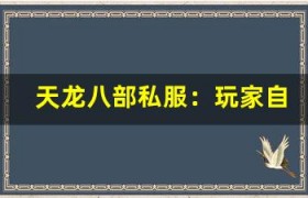 天龙八部私服：玩家自制的游戏攻略视频，超详细